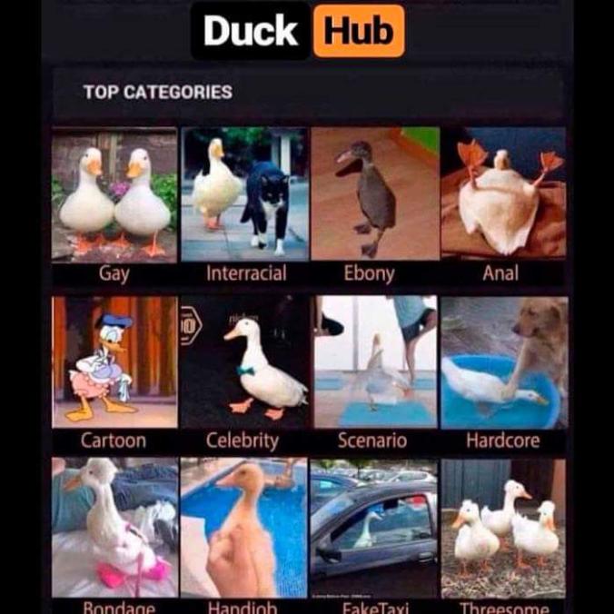 duck hub.jpg